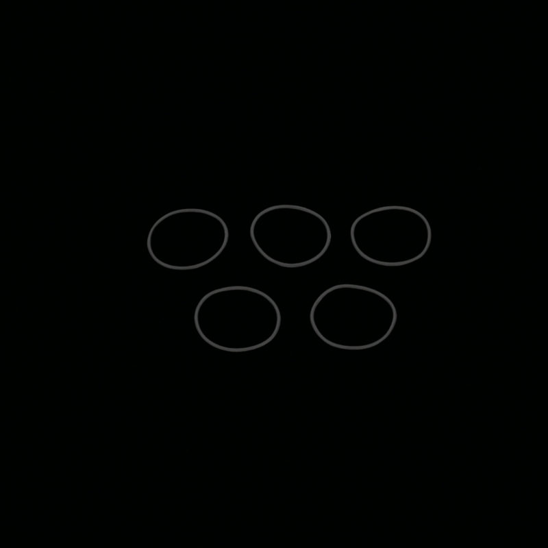 MDRX Cylinder head O-ring(x5)