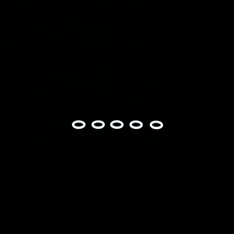 MDRX Feeding O-ring (x5)
